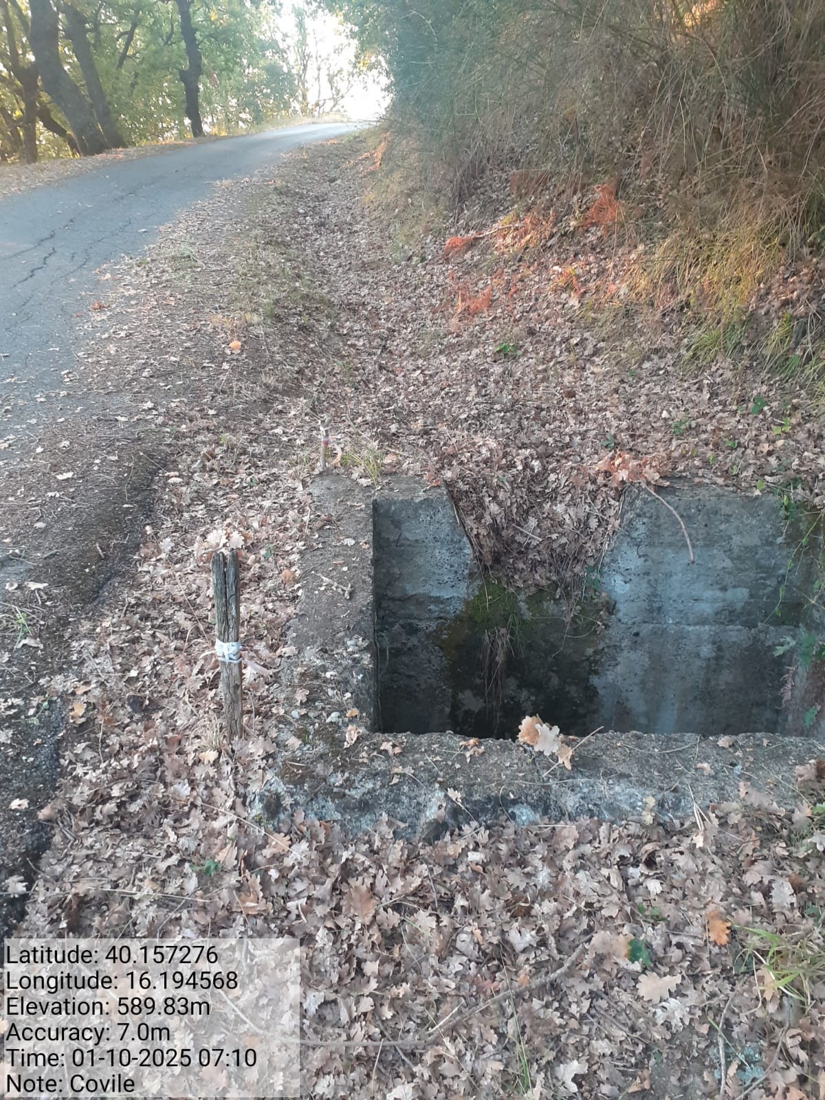 Galleria Fotografica Immagine