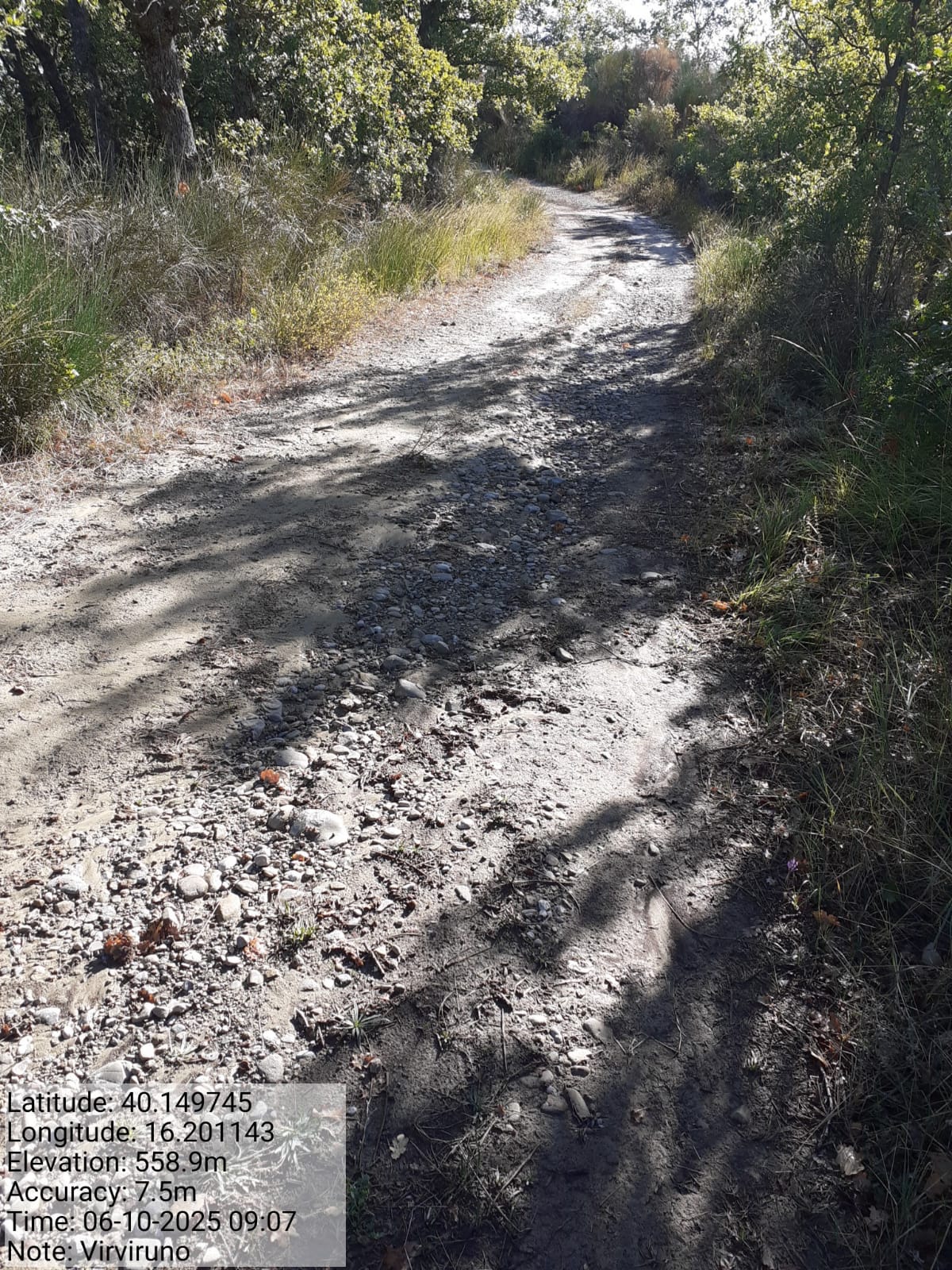 Galleria Fotografica Immagine