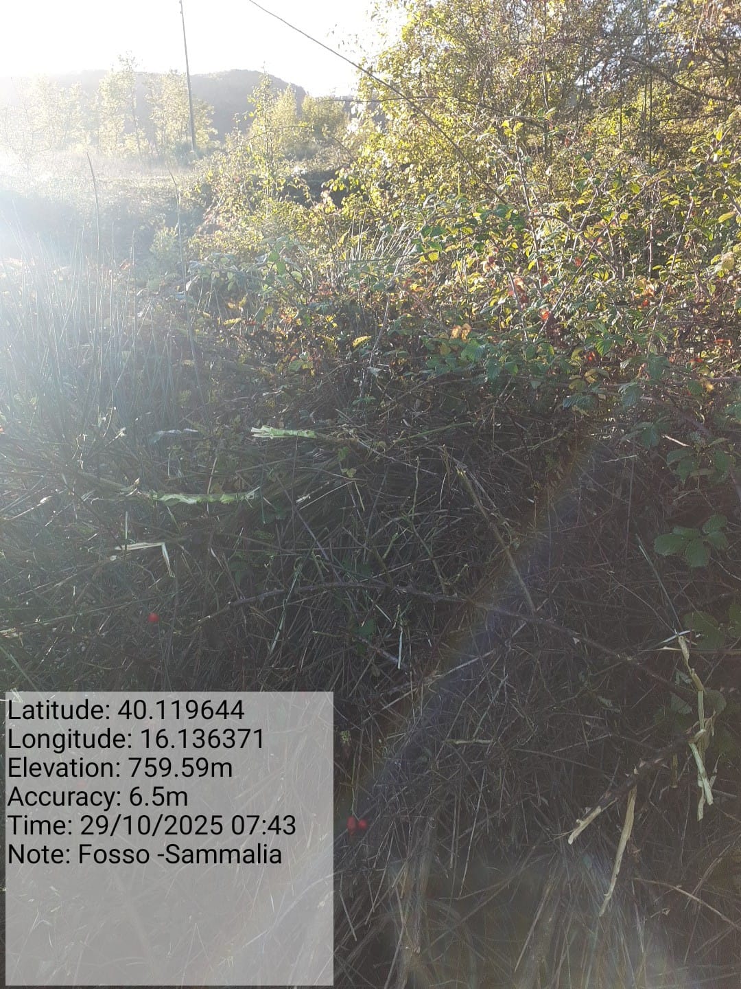 Galleria Fotografica Immagine