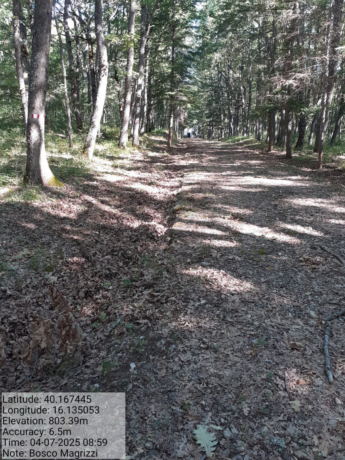 Galleria Fotografica Immagine