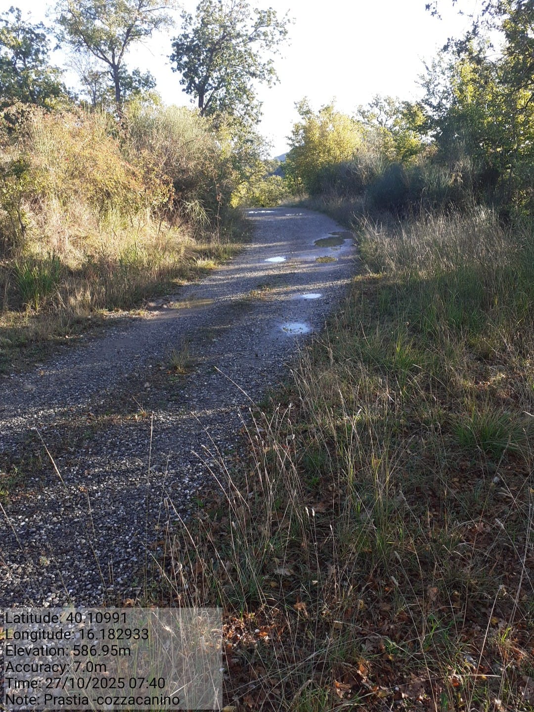 Galleria Fotografica Immagine