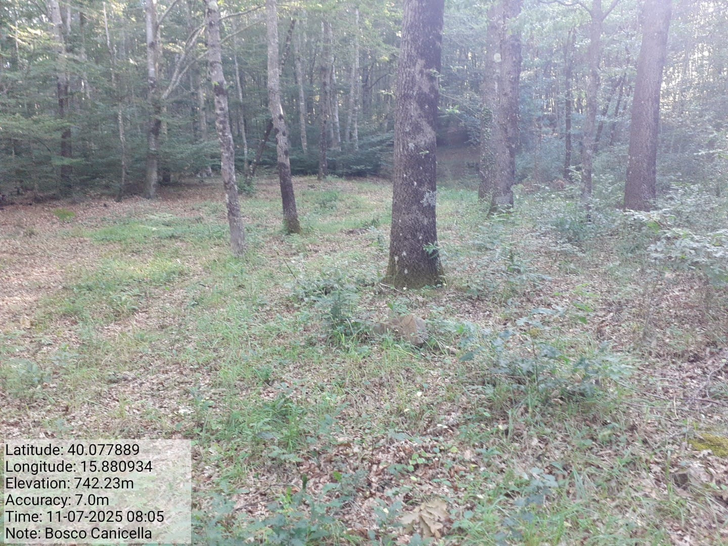 Galleria Fotografica Immagine