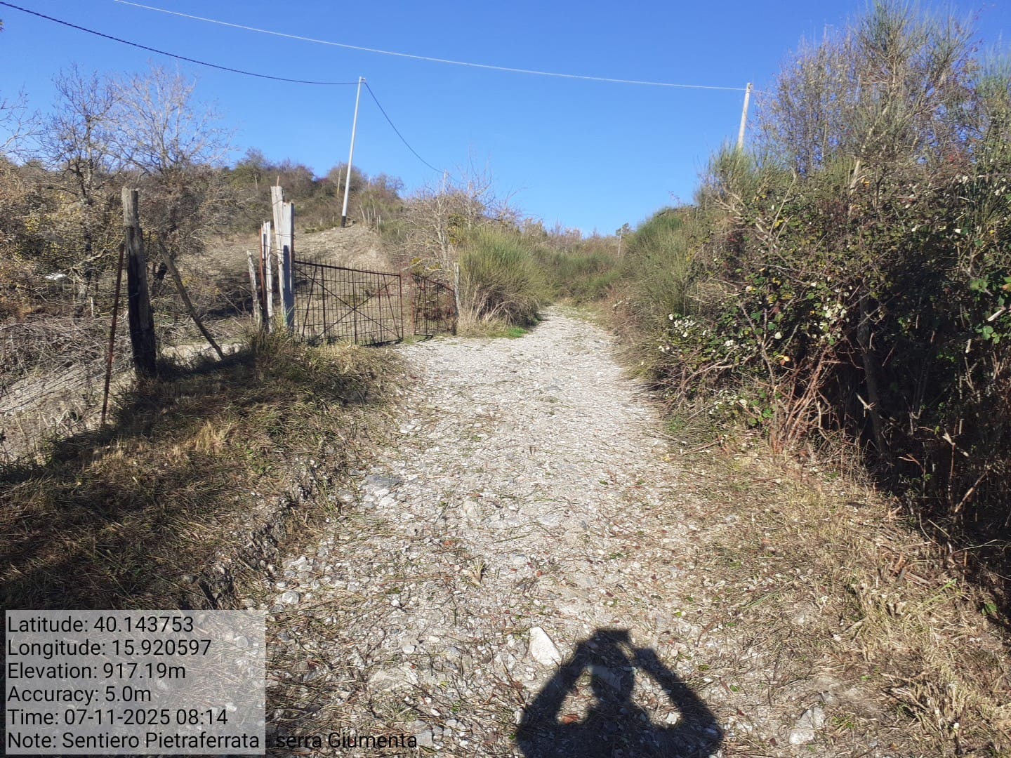 Galleria Fotografica Immagine