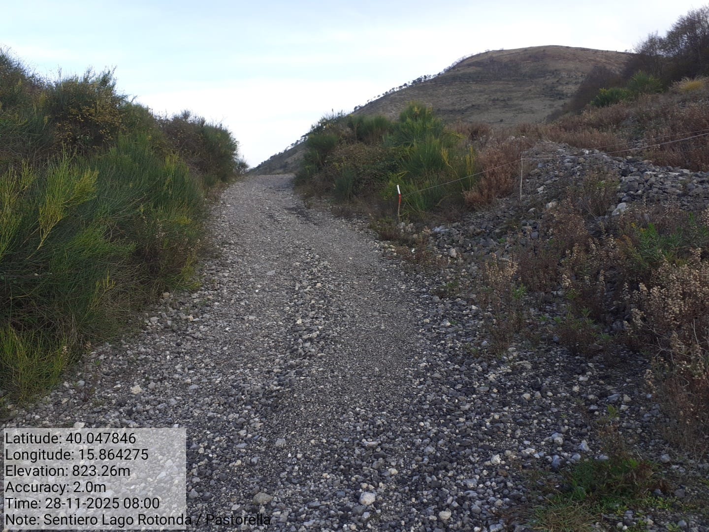 Galleria Fotografica Immagine