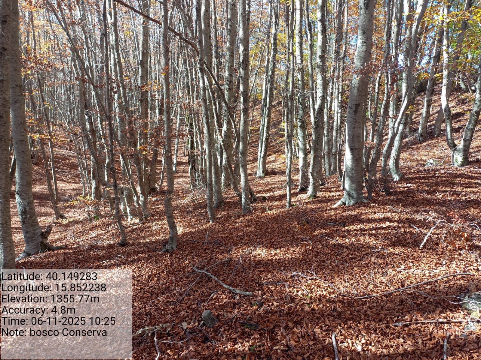 Galleria Fotografica Immagine