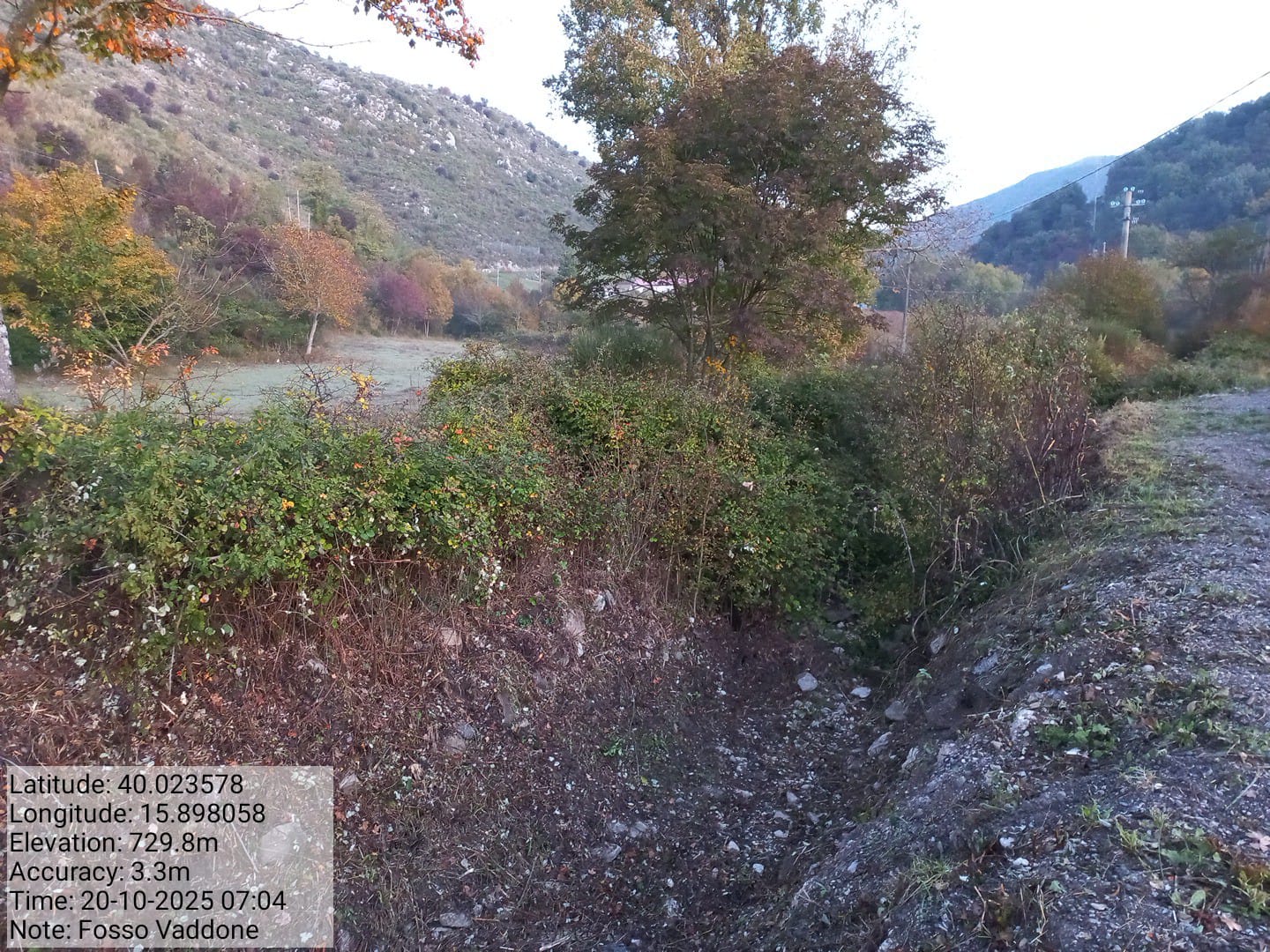 Galleria Fotografica Immagine