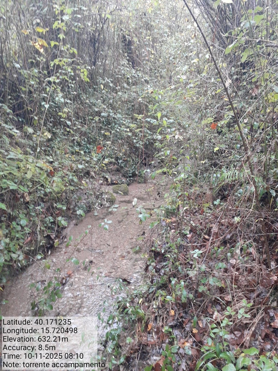 Galleria Fotografica Immagine