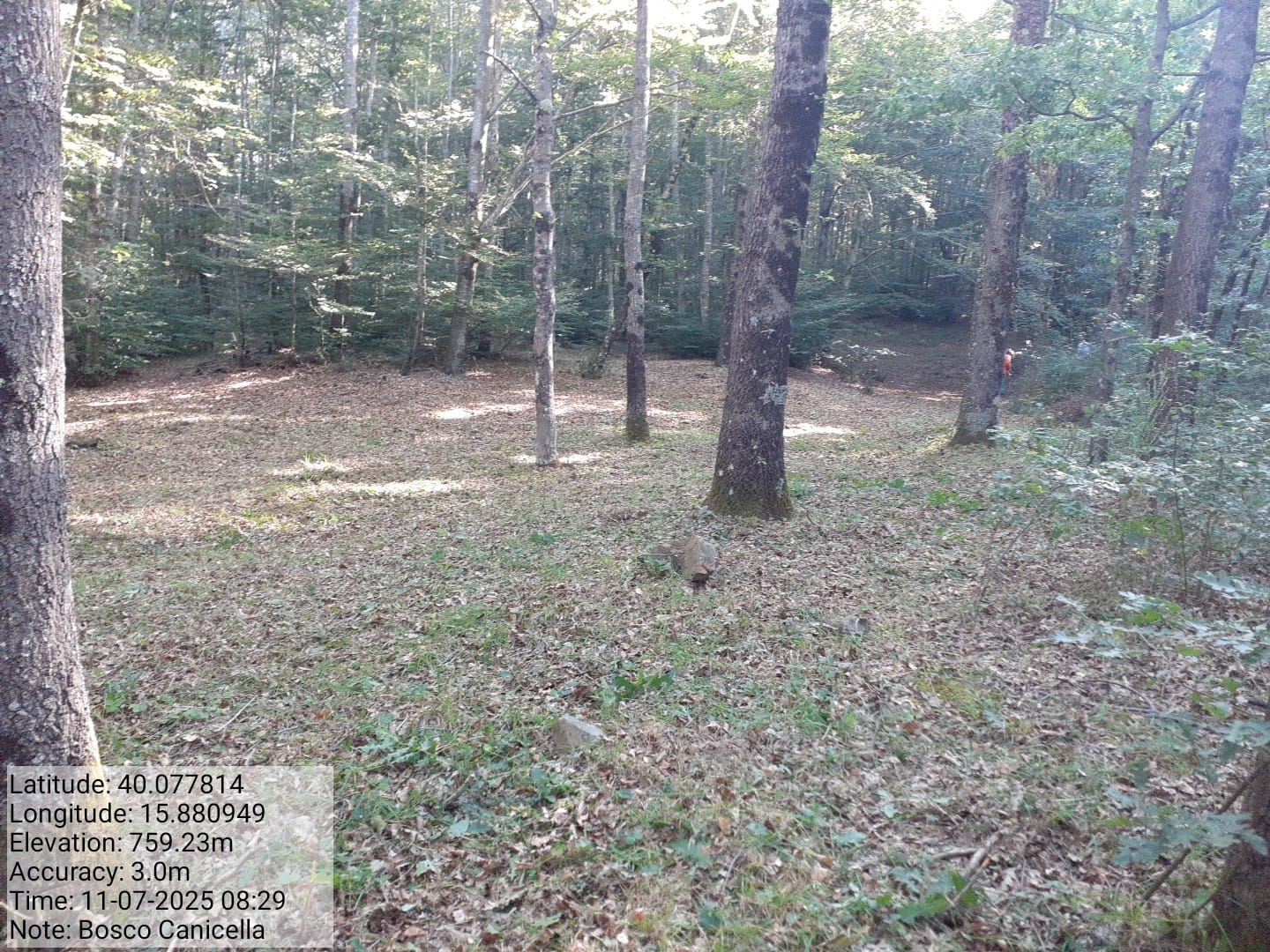 Galleria Fotografica Immagine