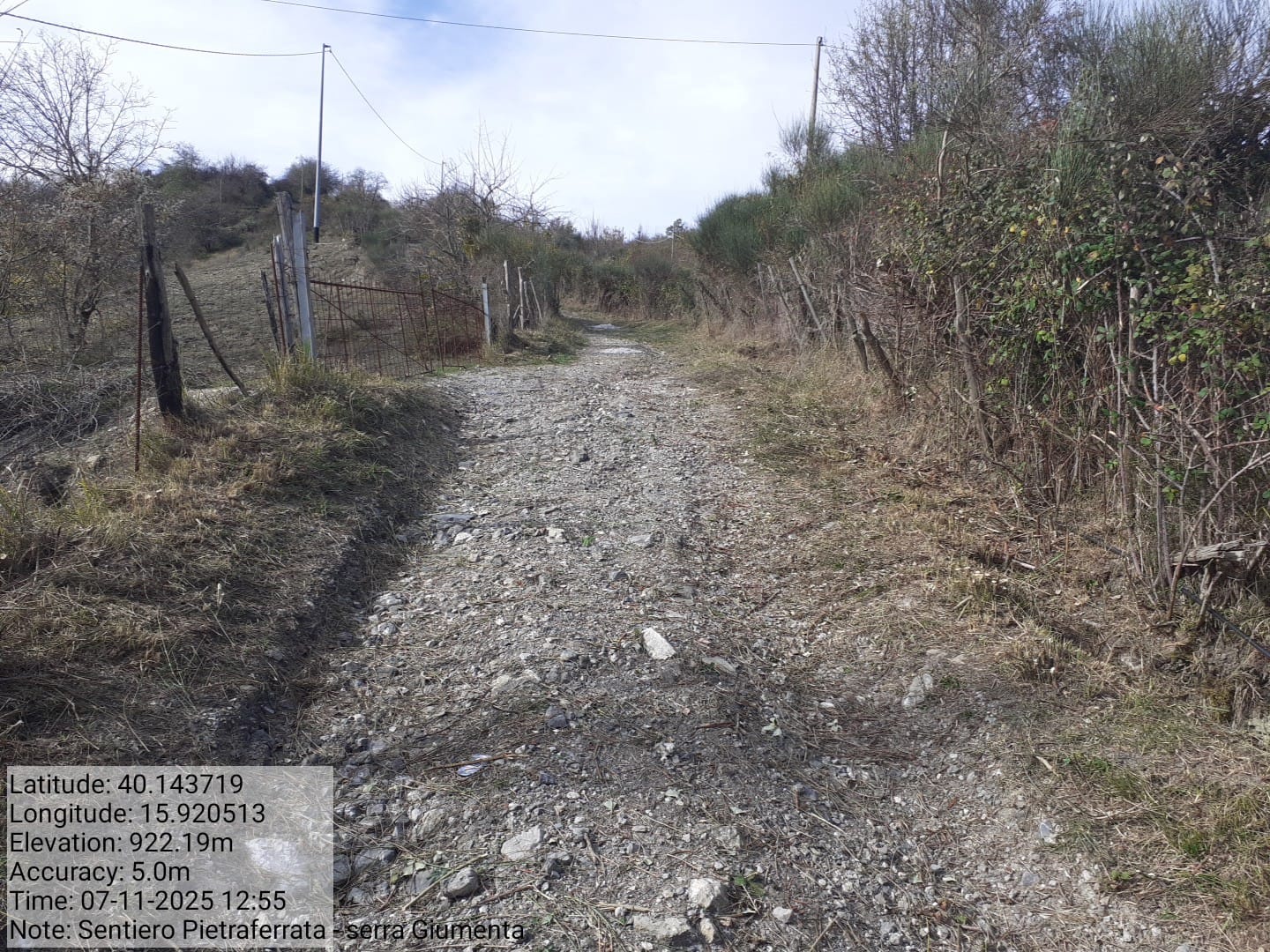 Galleria Fotografica Immagine