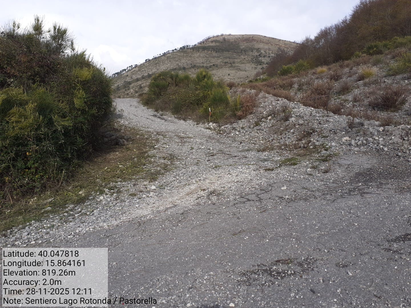 Galleria Fotografica Immagine