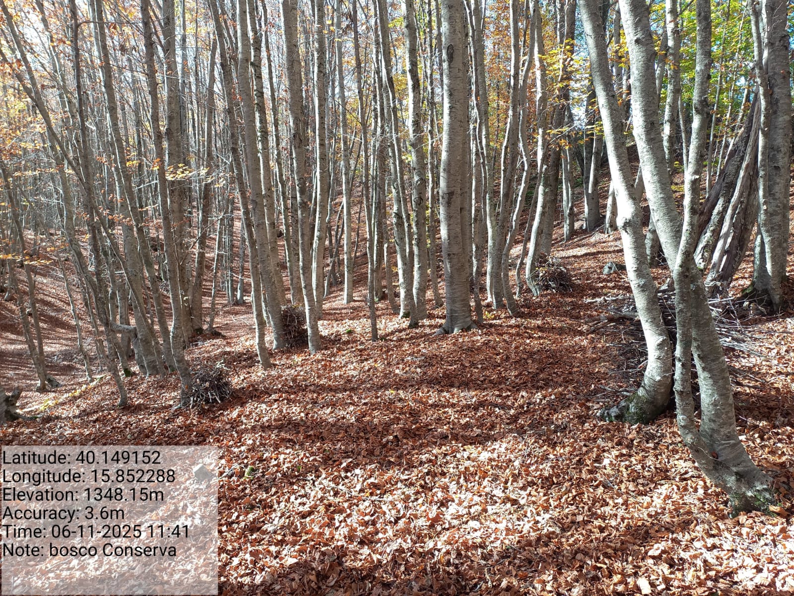 Galleria Fotografica Immagine