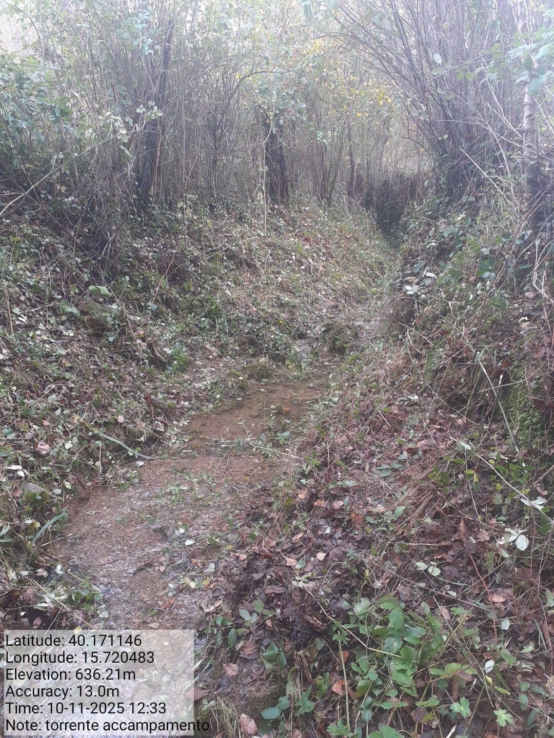 Galleria Fotografica Immagine