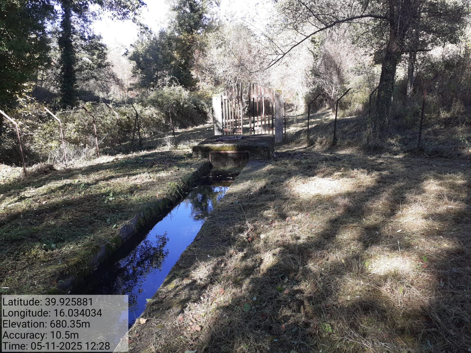 Galleria Fotografica Immagine