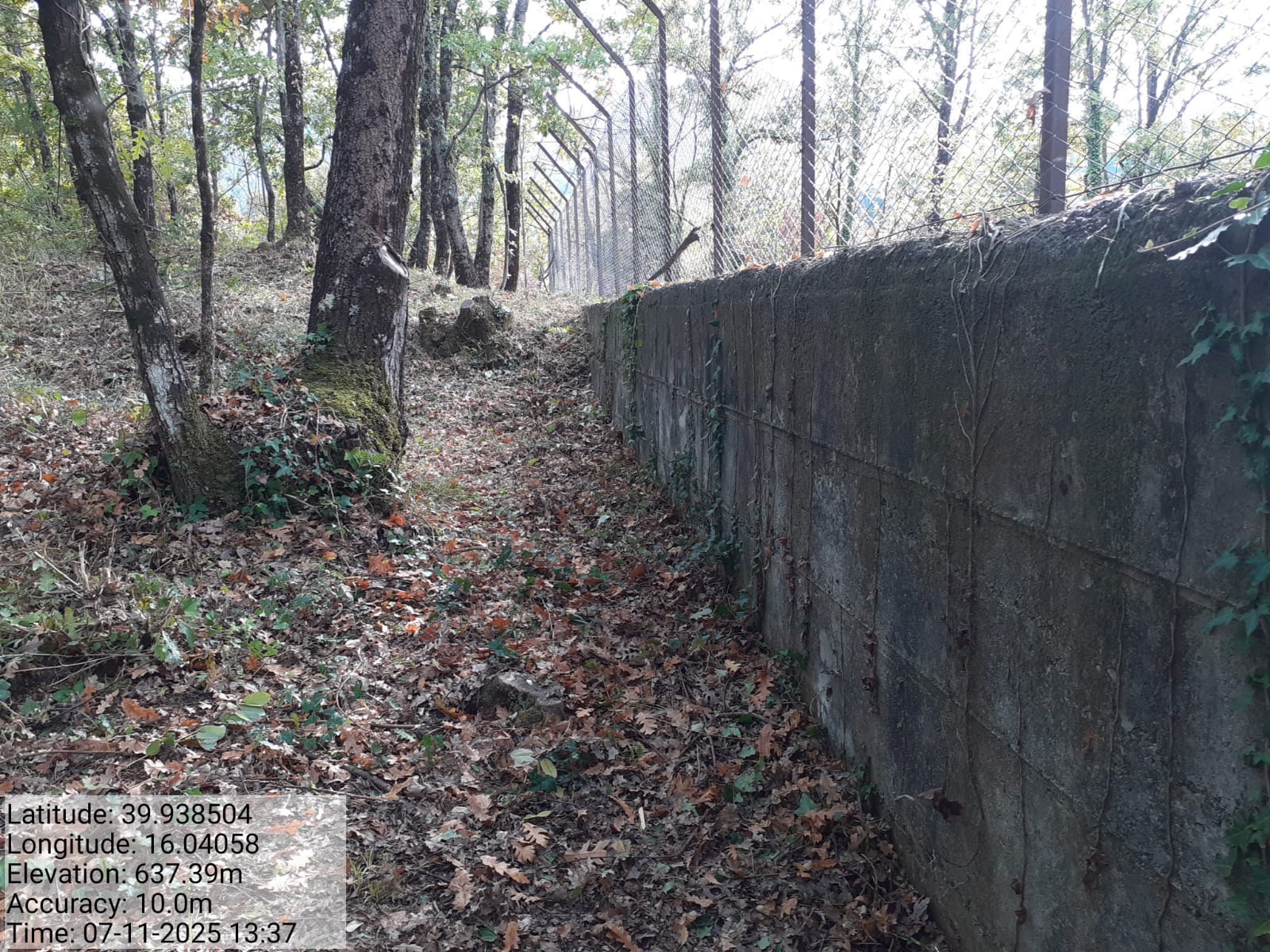 Galleria Fotografica Immagine