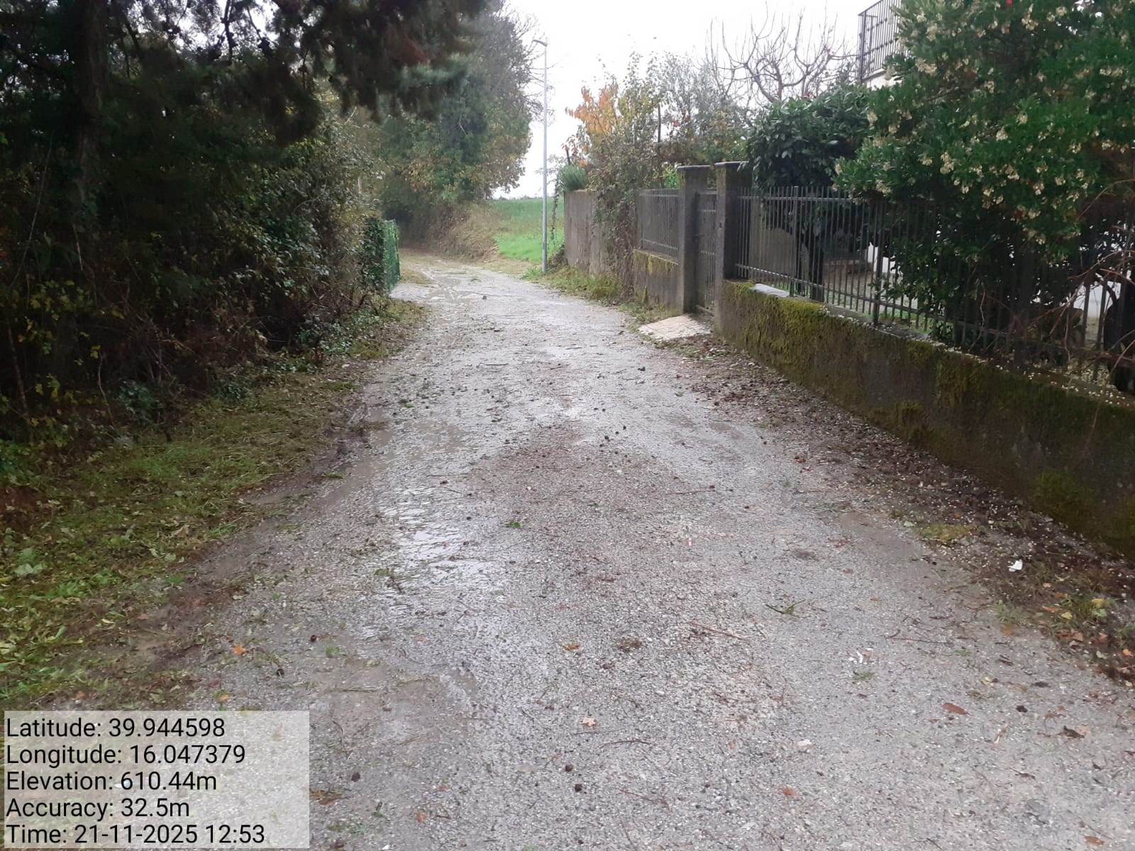 Galleria Fotografica Immagine