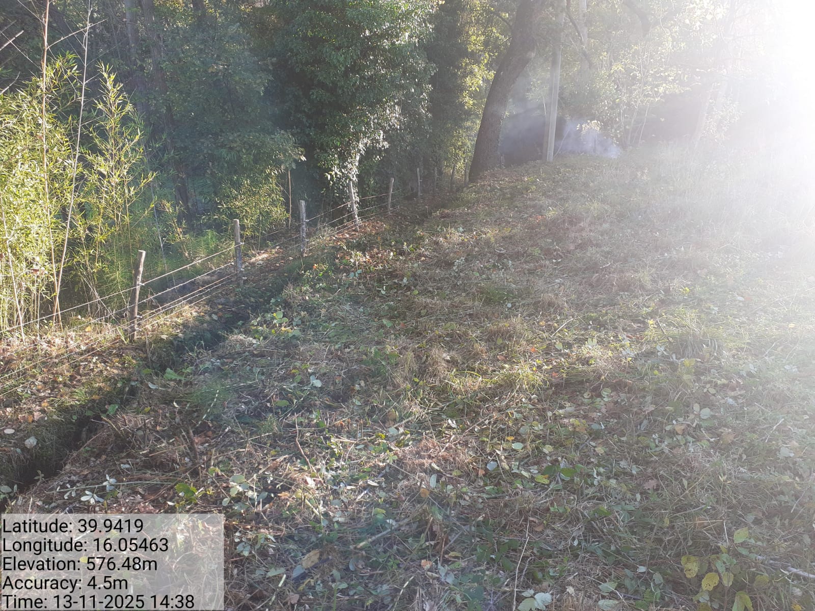 Galleria Fotografica Immagine