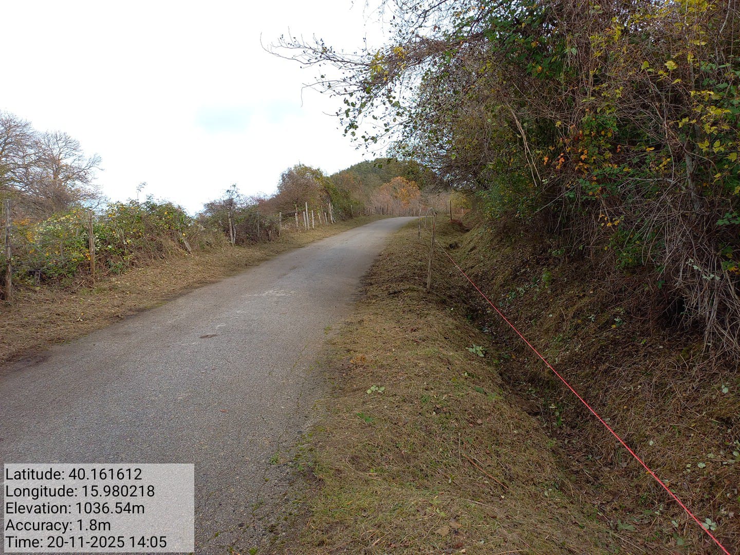 Galleria Fotografica Immagine