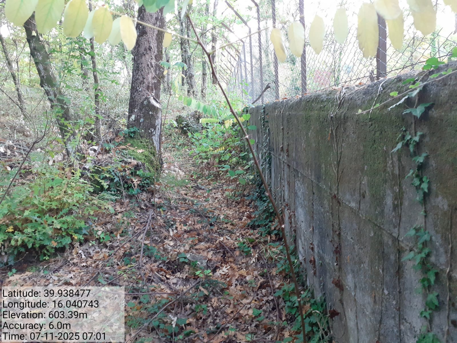 Galleria Fotografica Immagine