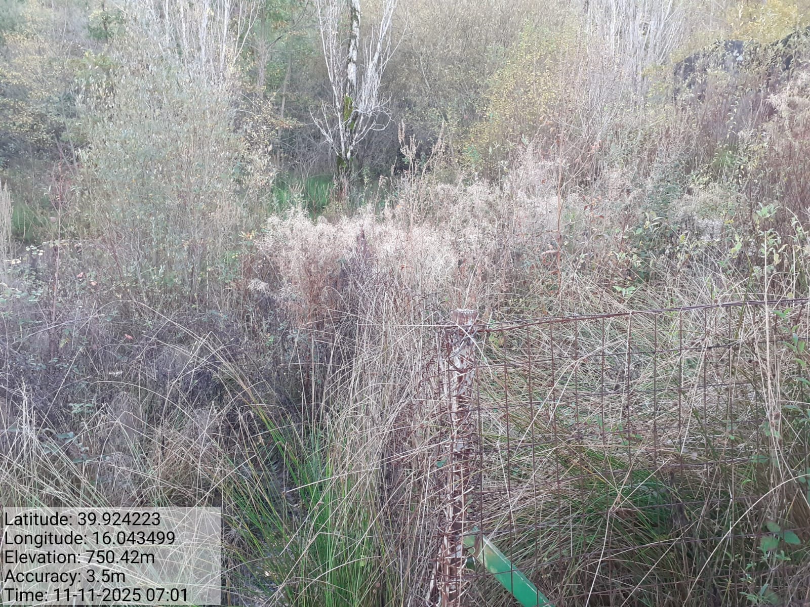 Galleria Fotografica Immagine