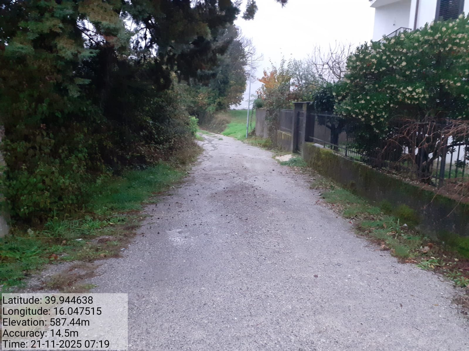 Galleria Fotografica Immagine