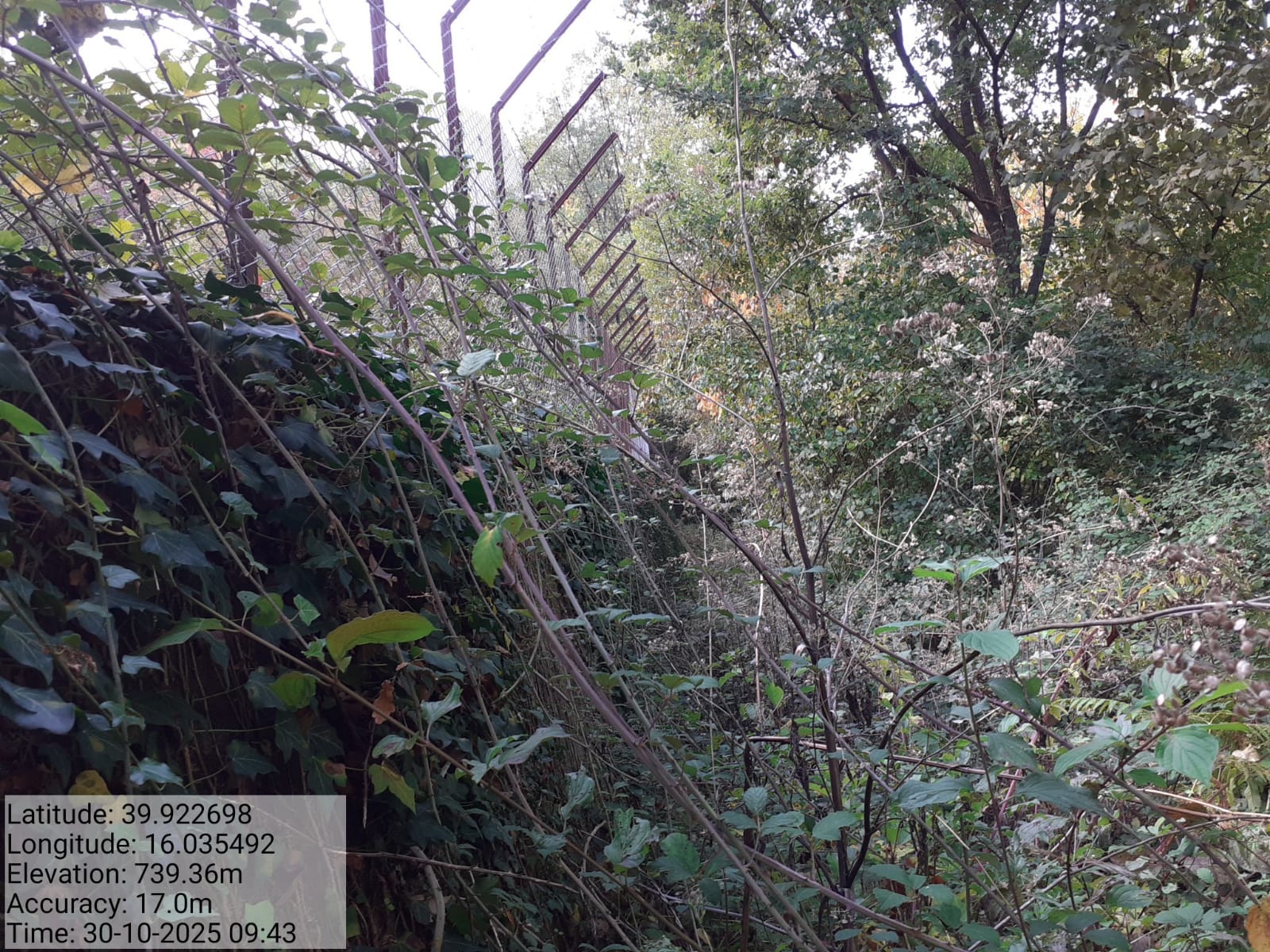 Galleria Fotografica Immagine