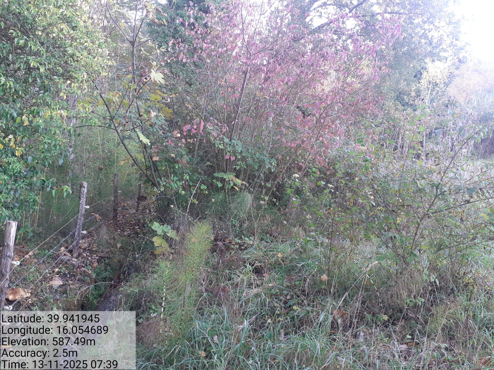 Galleria Fotografica Immagine