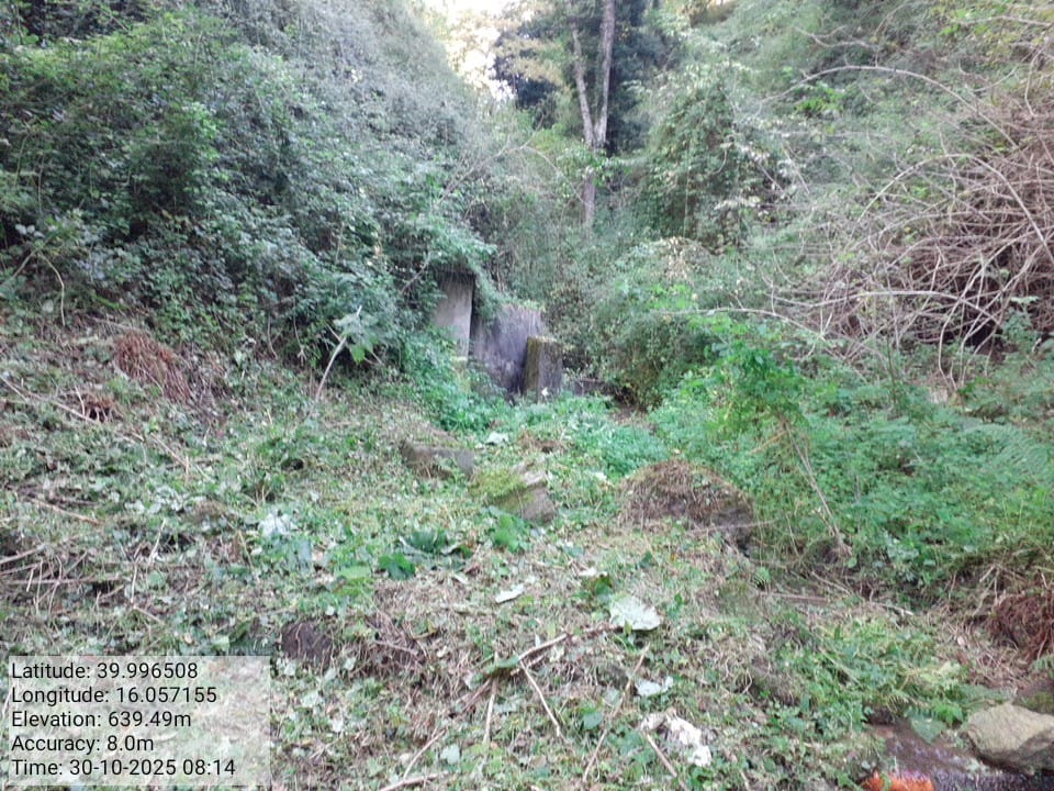 Galleria Fotografica Immagine