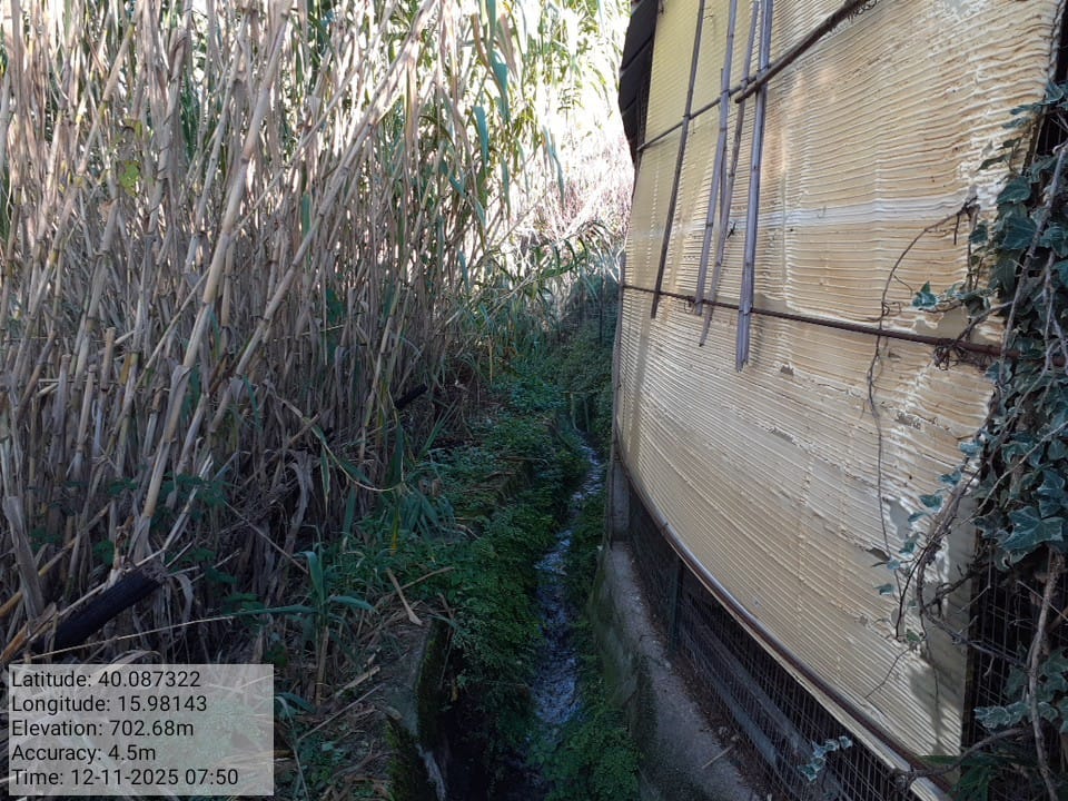 Galleria Fotografica Immagine