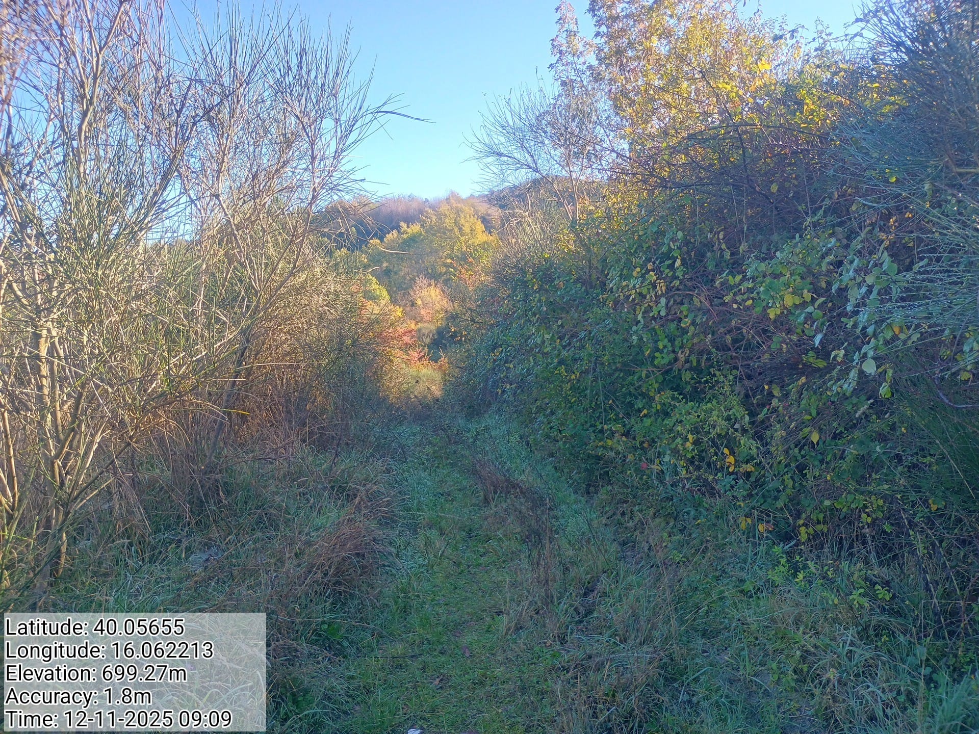 Galleria Fotografica Immagine