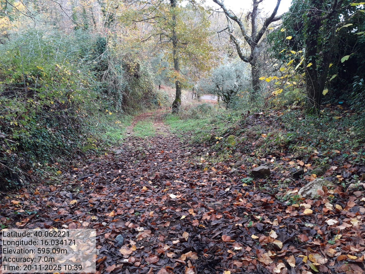 Galleria Fotografica Immagine