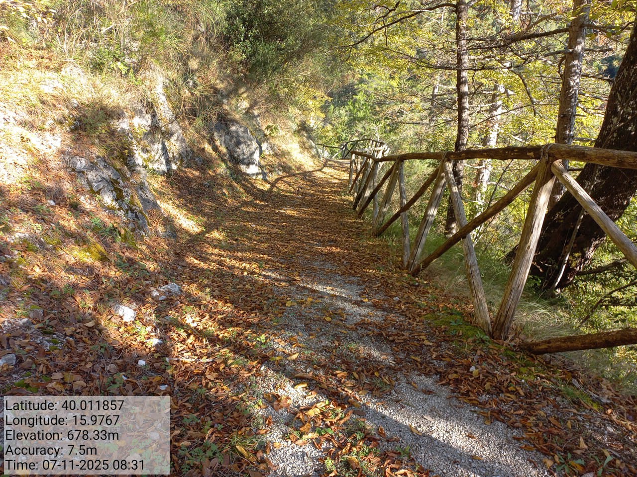 Galleria Fotografica Immagine