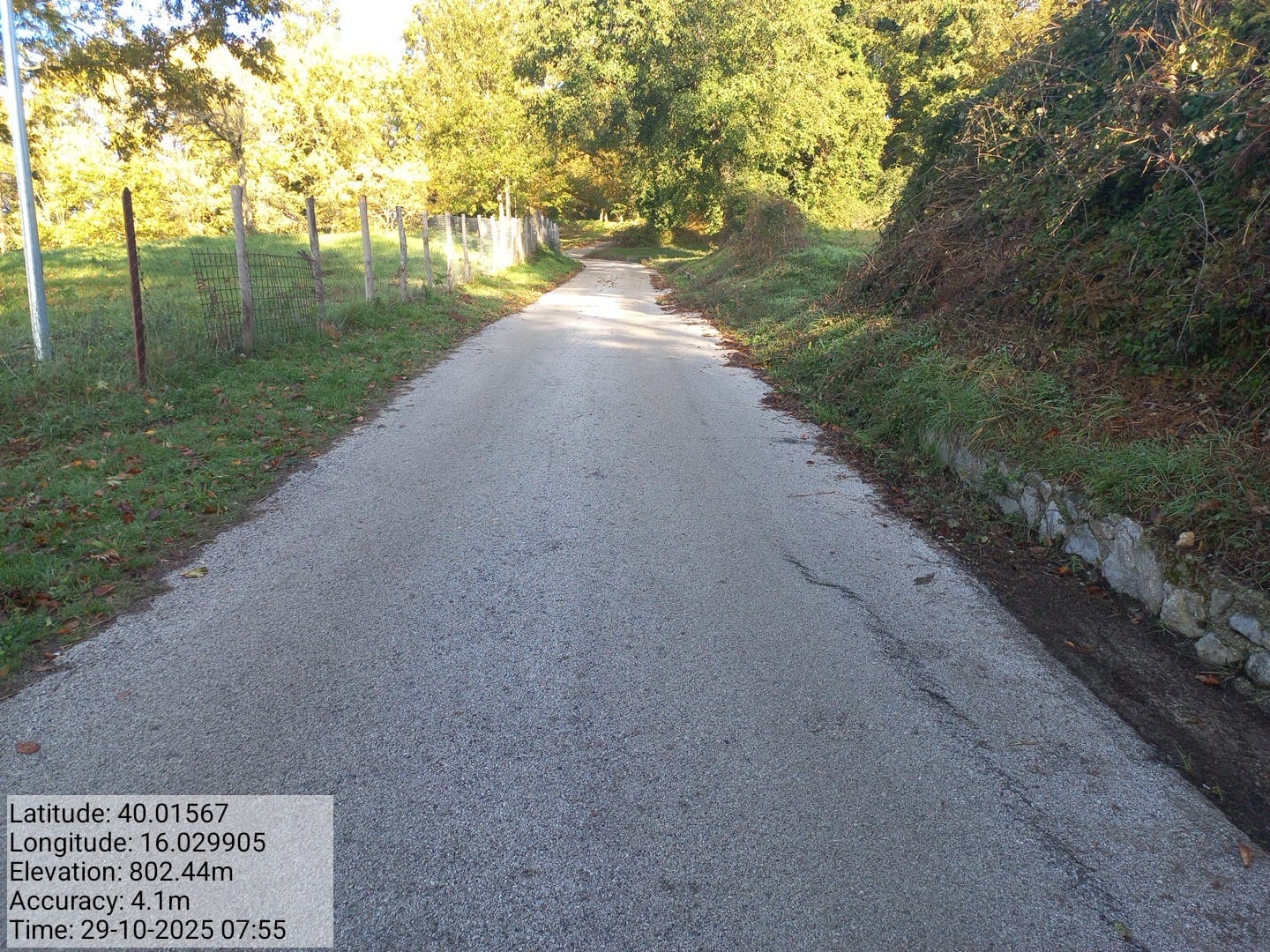 Galleria Fotografica Immagine