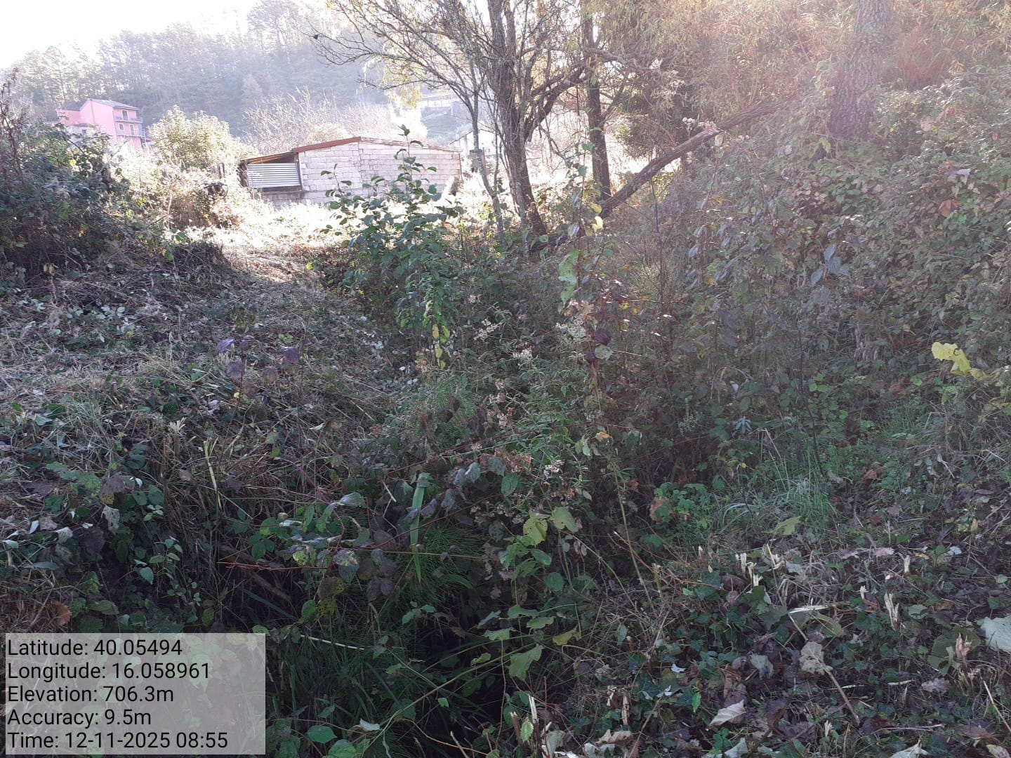 Galleria Fotografica Immagine