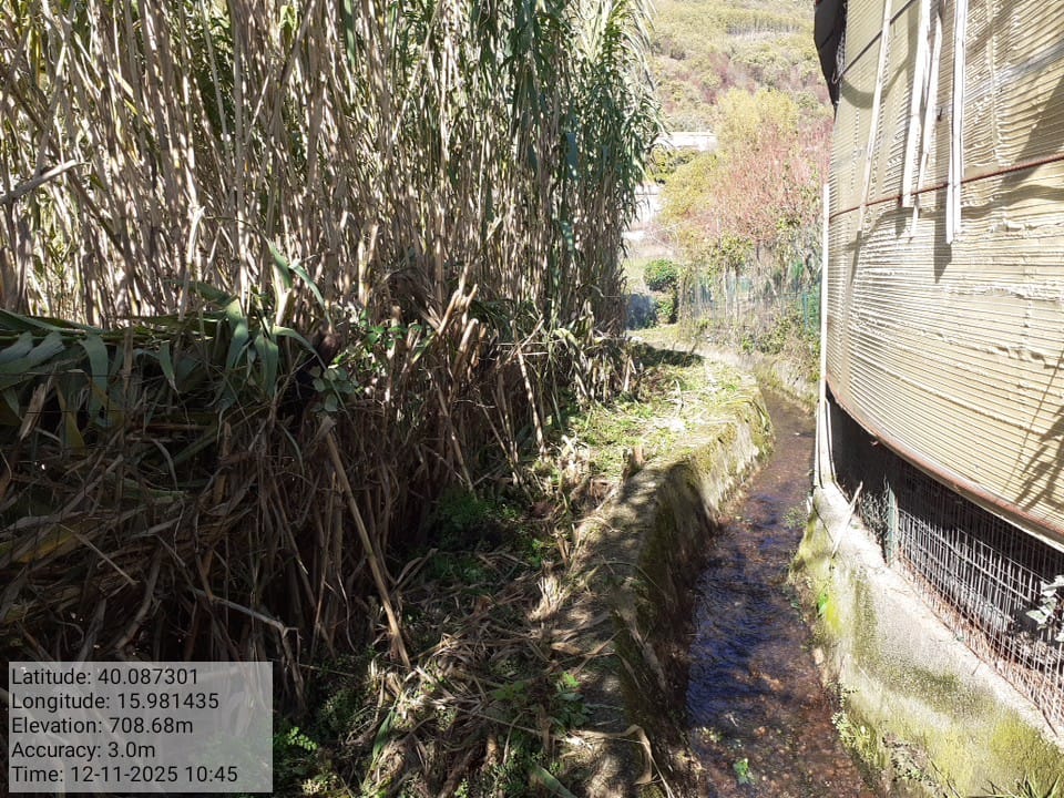 Galleria Fotografica Immagine