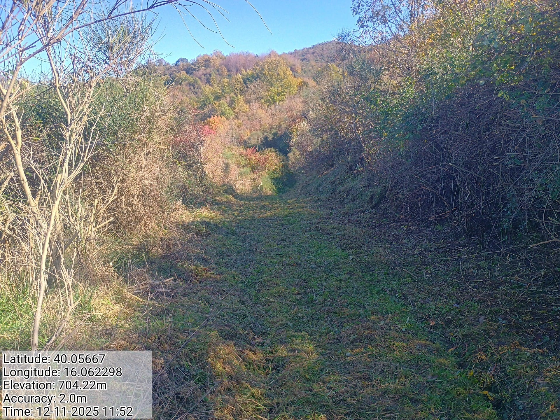 Galleria Fotografica Immagine