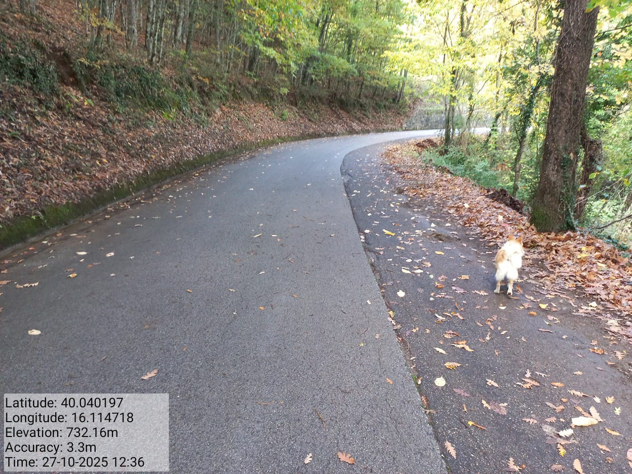 Galleria Fotografica Immagine