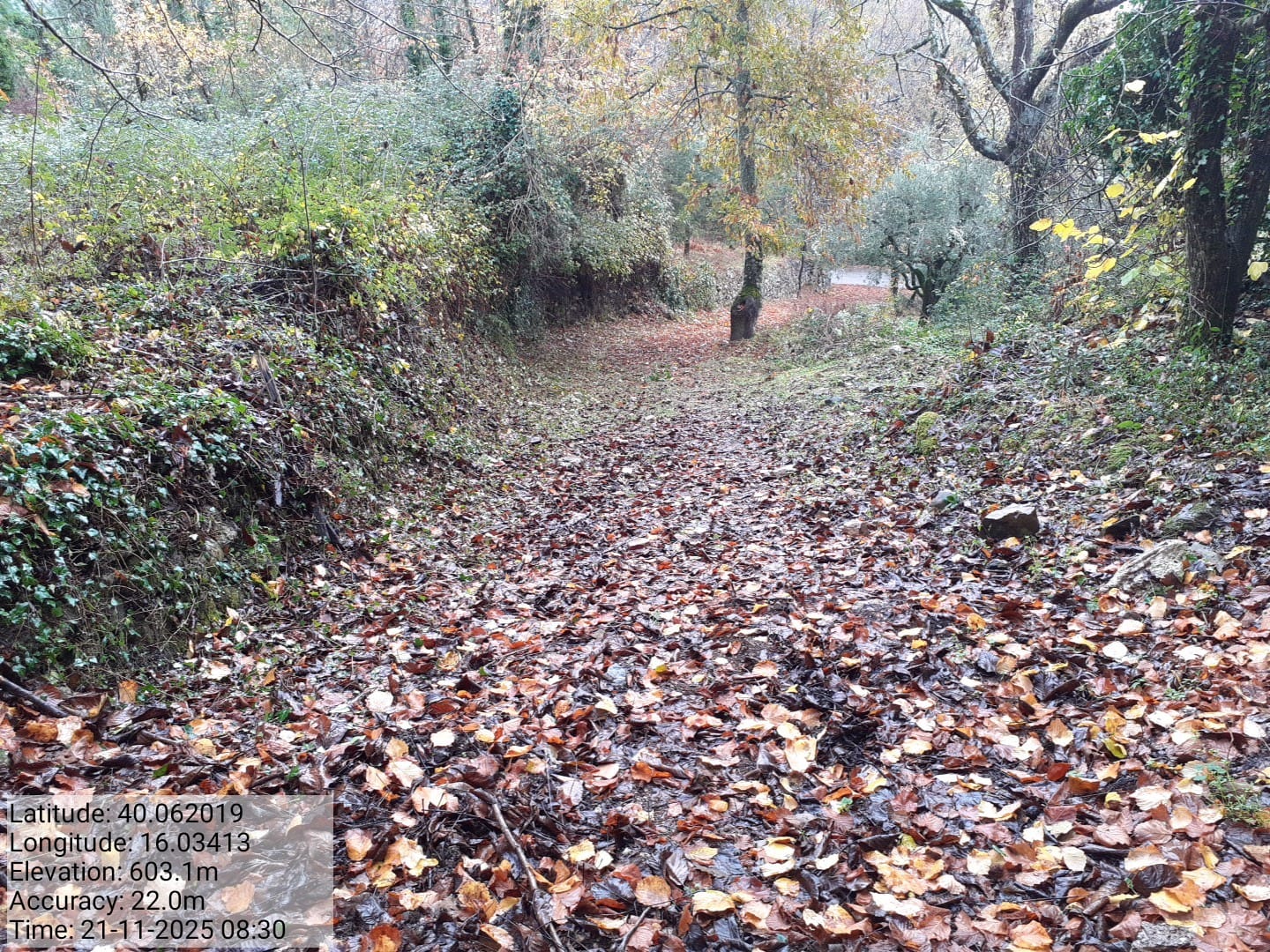 Galleria Fotografica Immagine