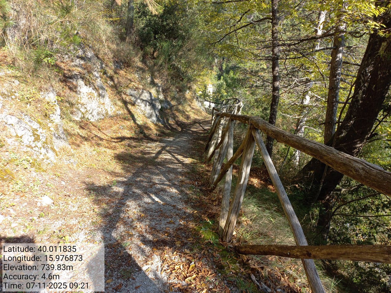 Galleria Fotografica Immagine