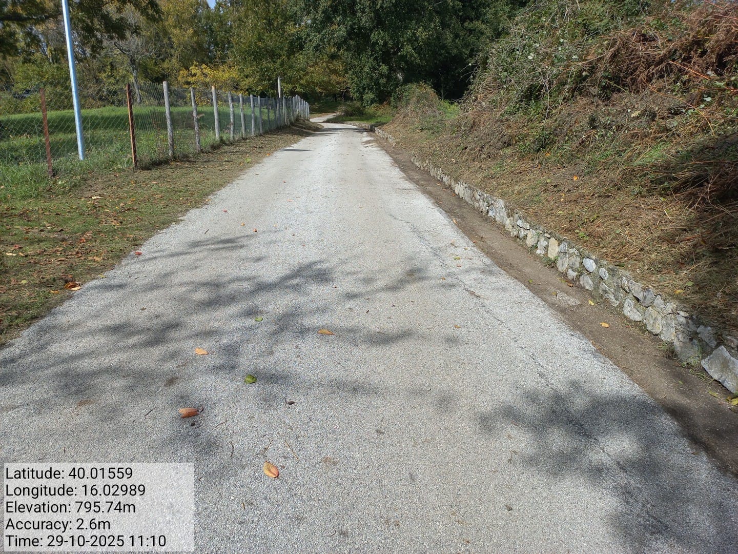 Galleria Fotografica Immagine