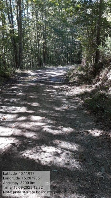 Galleria Fotografica Immagine