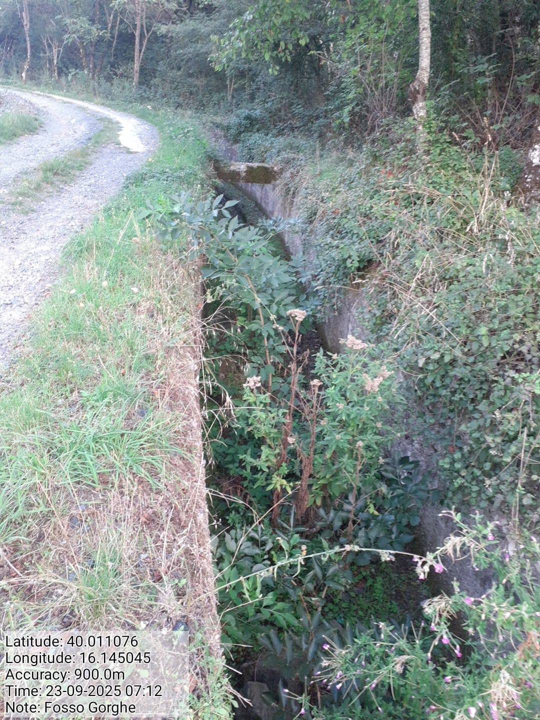 Galleria Fotografica Immagine