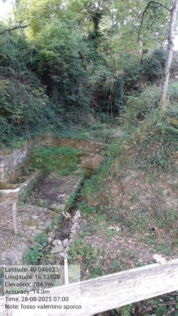 Galleria Fotografica Immagine