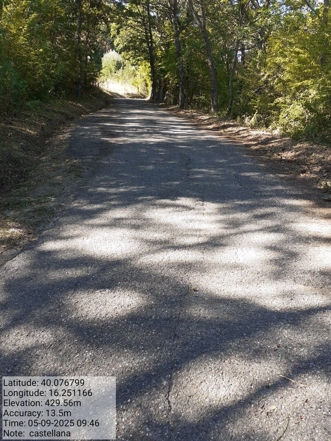 Galleria Fotografica Immagine