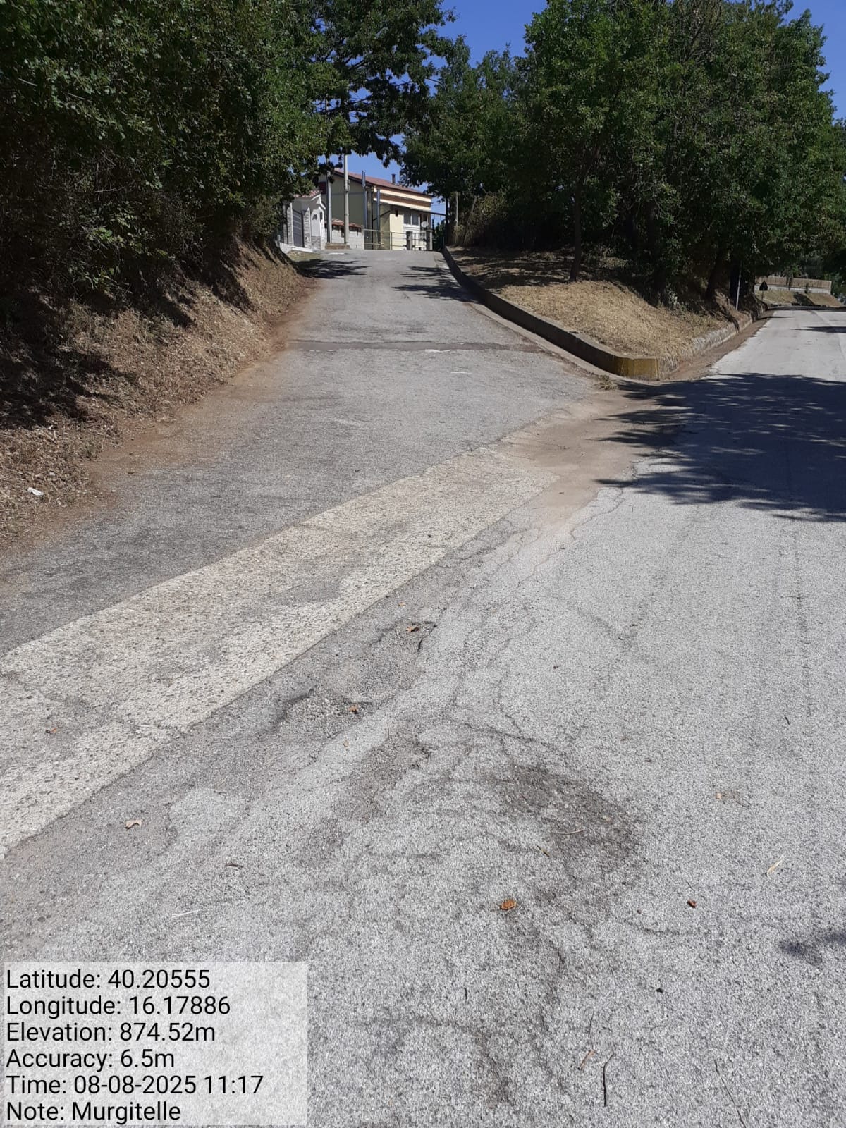 Galleria Fotografica Immagine