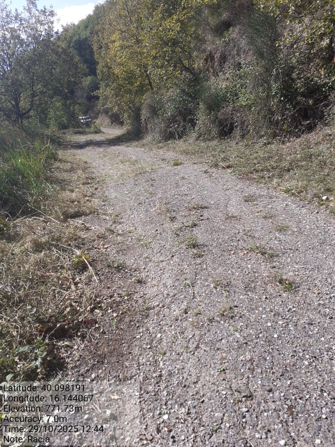 Galleria Fotografica Immagine