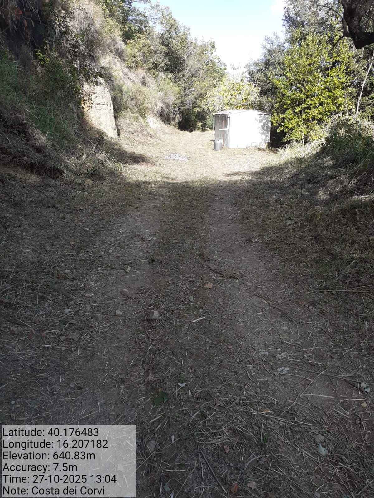 Galleria Fotografica Immagine