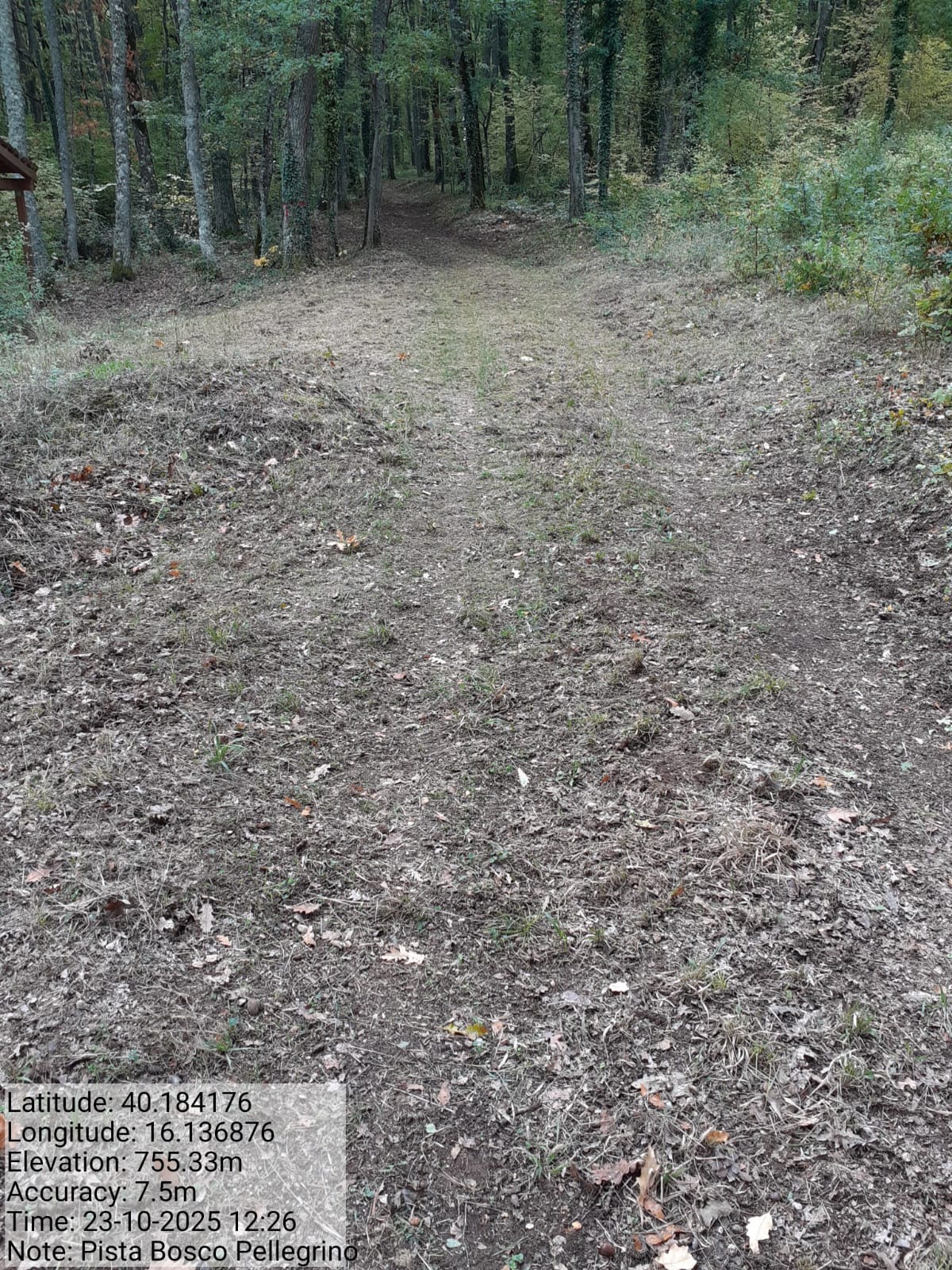 Galleria Fotografica Immagine