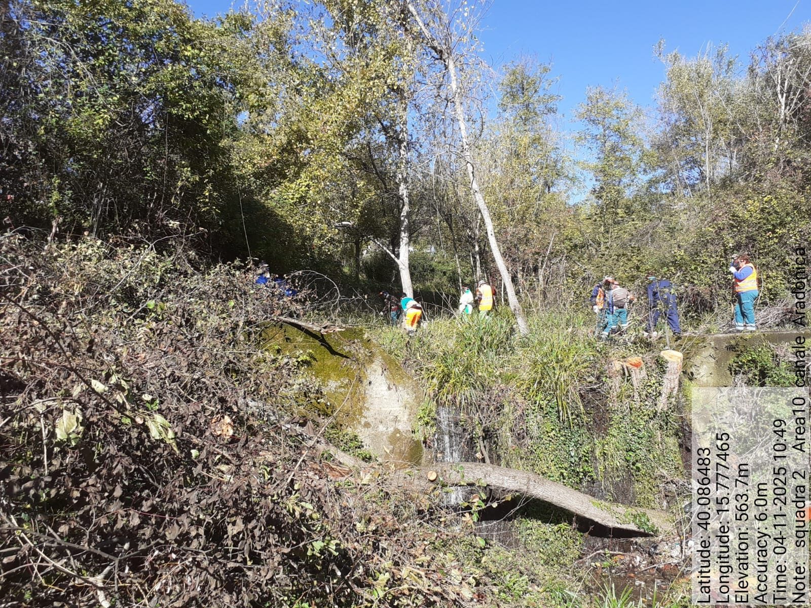 Galleria Fotografica Immagine