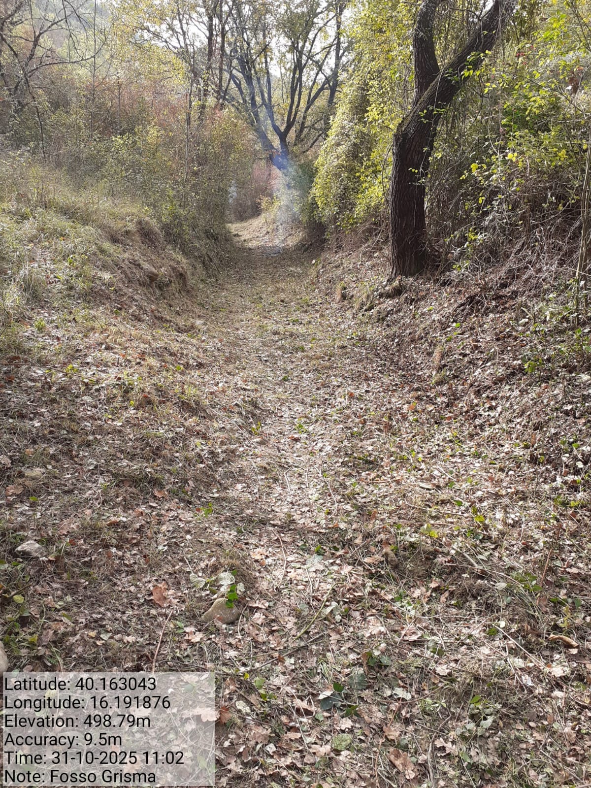 Galleria Fotografica Immagine