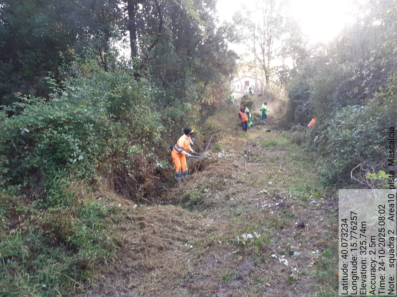 Galleria Fotografica Immagine